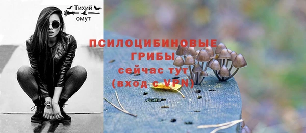 mix Ельня