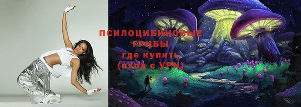 mix Ельня