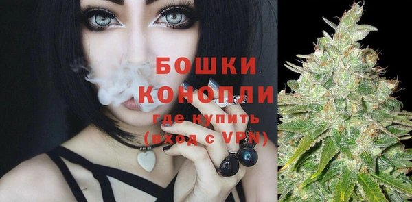 mix Ельня